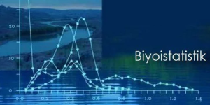 Biyoistatistik